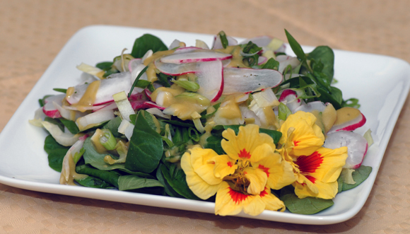 Salad of Mache, Endive, and Radishes