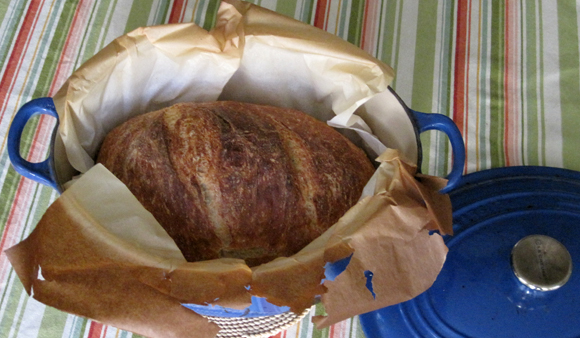 Pain d' Cocotte